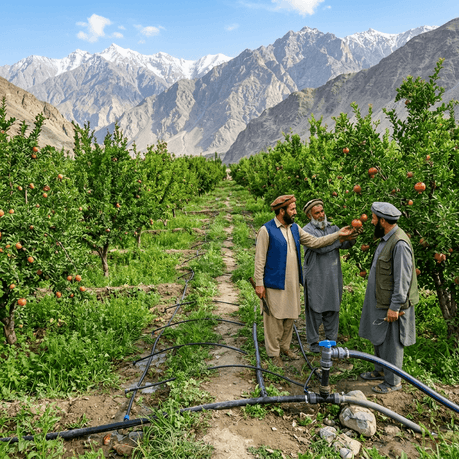 Transforming Irrigation in Bamyan Province